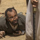 Bernard (Jeffrey Wright) has certainly seen better days.